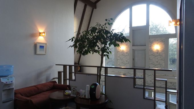 XɘȂޓ錚̖͂̓_CjȎ傫Ȑ