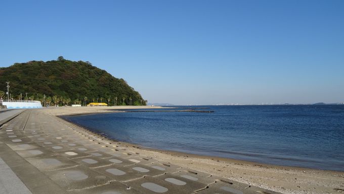 ���Y����̘V�܍������ق͖ڂ̑O���C