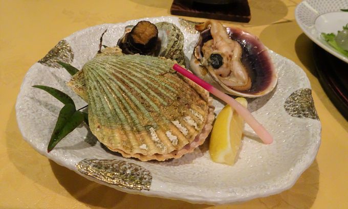 ɐu̖͖ڂ̗ɐ
