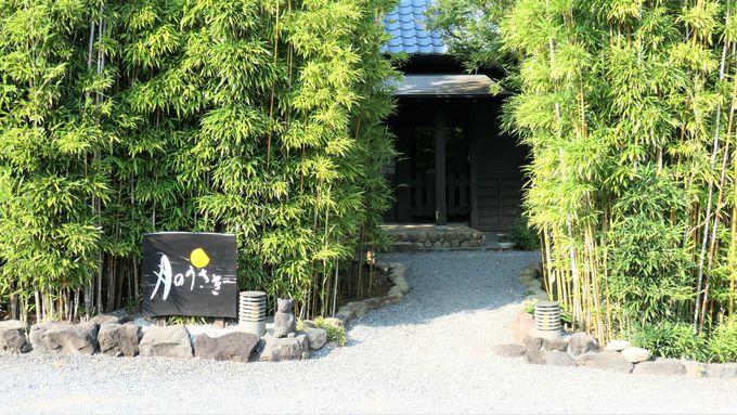 誰もが憧れる元祖デザイナーズ旅館 伊豆 月のうさぎ の魅力に迫る 静岡県 トラベルjp 旅行ガイド