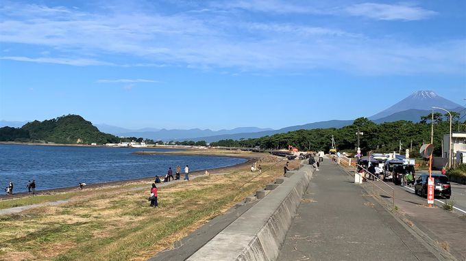 ڂ̑O͓{̏SIɑI΂ꂽC