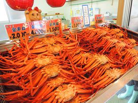 EV́ủwv10IIK肽߂̓RR̋LTlC