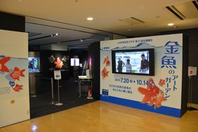 DȂ猩ȁI]ː́uA[gK[fv֔ɉɍsI̋LTlC