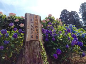 �Z��X�ɐ�i�H���R�~�����ŔN�X�����I��t�����R�̂��������ʂ肪�����I�̋L���T���l�C��