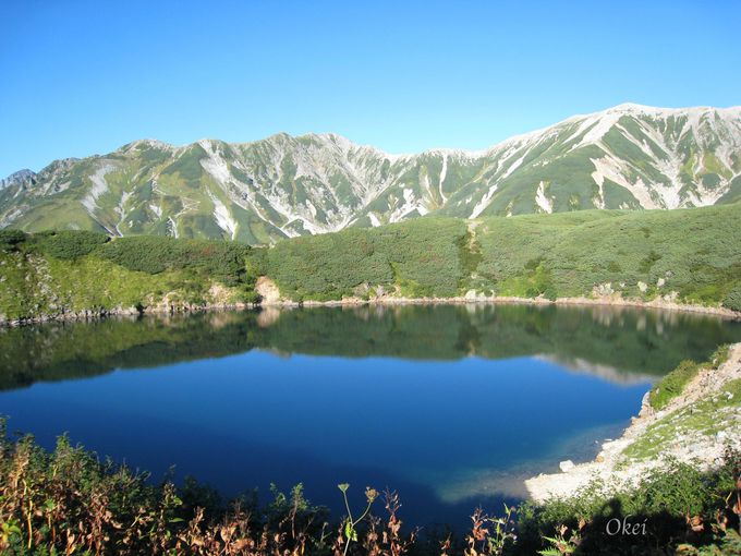 富山県の各自治体でも独自の観光支援策を実施（1）