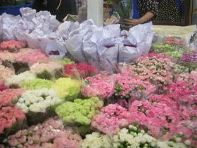 タイ最大の花市場！パーククローン花市場で南国の花々に包まれる