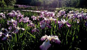 z̓ȂILȌҊ̉Ԃ̋LTlC