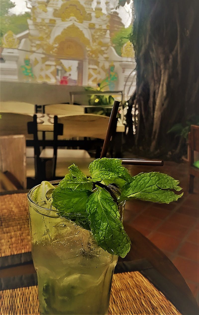 bg`FfBA𒭂߂Ȃ}S[̖؂̉ŃJNe