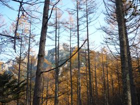 XFɋPG߁AR ୎R̒gtƃpm}̐iI̋LTlC