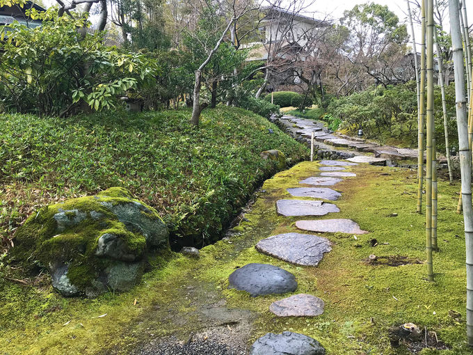 ��2��2000�������[�g���I�L��ȏ��ԓ��뉀���y����