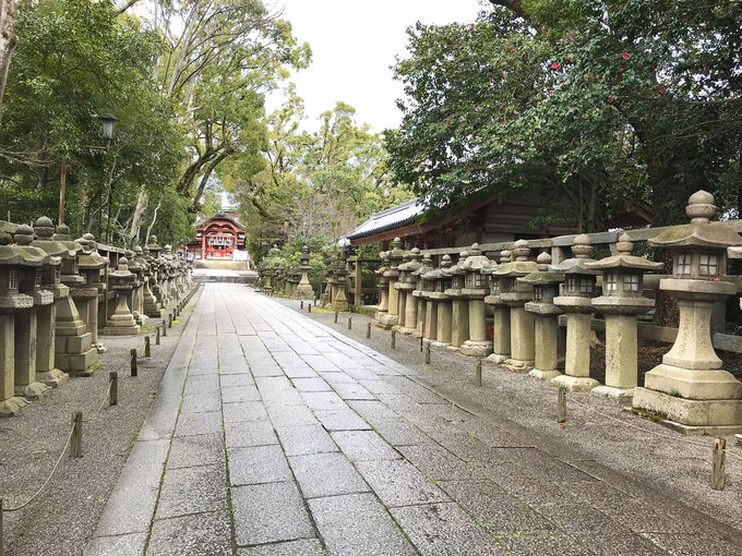 �܂��͐ΐ��������{�ւ����A