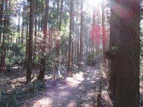 野鳥の声あふれる自然たっぷりの場所！茨城「牛久自然観察の森」