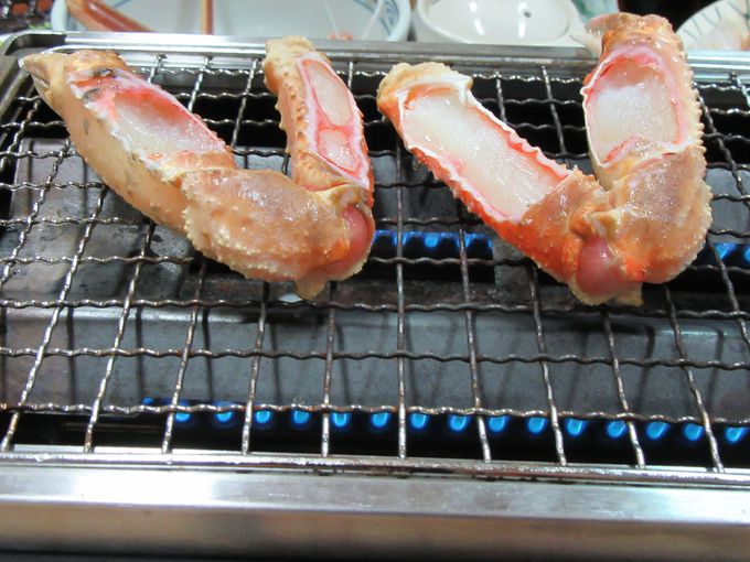 ���������ĐV�N�ȋ��������́u�킽�Ȃ׊فv�~�͂��ɂ���������