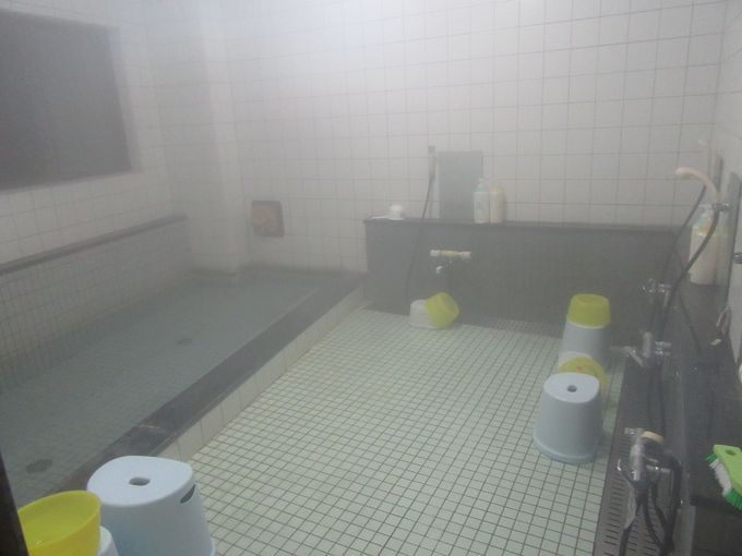 �����C���傫���ł�