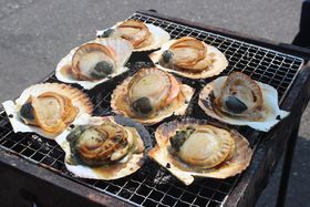 aOƏΊ̕ɁI{錧uOsv͌CɌJÒ̋LTlC