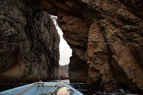 C̃WFbgR[X^[!?@ukRTbpDAhx`[v̋LTlC