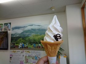 ݂͂\tgIHcEc΁uR݂̂͂vł݂͂̂\̋LTlC