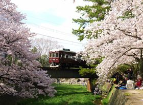 �d�ԂƂ̋��������߂����ȁI��_�Ԑ���̍��͐��{�u�g������v�ցI�̋L���T���l�C��