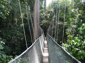 EY̒ɂ鉷IR^Liou|[vő厩R𖞋i̋LTlC