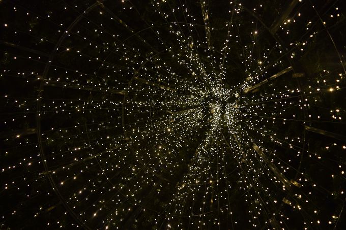 ����ȃN���X�}�X�c���[�͒��ɂ������H