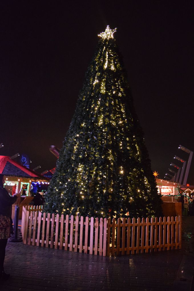 ����ȃN���X�}�X�c���[�͒��ɂ������H