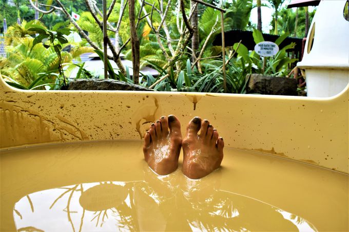 ���������ׂ��׃c���c���ɁI�D����̌��ʂ�̌����悤�I