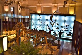 ��s�Ƌ����̃R���{�H�q������l���y���߂��k�u�y�n��s�W���فv�̋L���T���l�C��