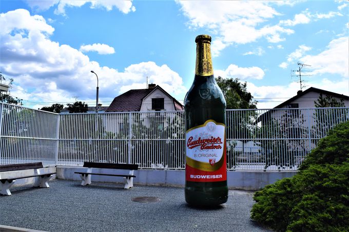本物のバドワイザーはチェコに ビール好きはブドヴァイゼル工場へ チェコ Lineトラベルjp 旅行ガイド