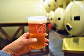 �{���̃o�h���C�U�[�̓`�F�R�ɁI�r�[���D���̓u�h���@�C�[���H��ւ̋L���T���l�C��