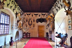 �����邨��I���E��Y�̊X�`�F�R�E�e���`�̂���͔��͖��_�I�̋L���T���l�C��