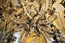 �v���n����1���ԁI�[���Ƒ吹���̊X�u�N�g�i�[�E�z���v�ŊX�����̋L���T���l�C��