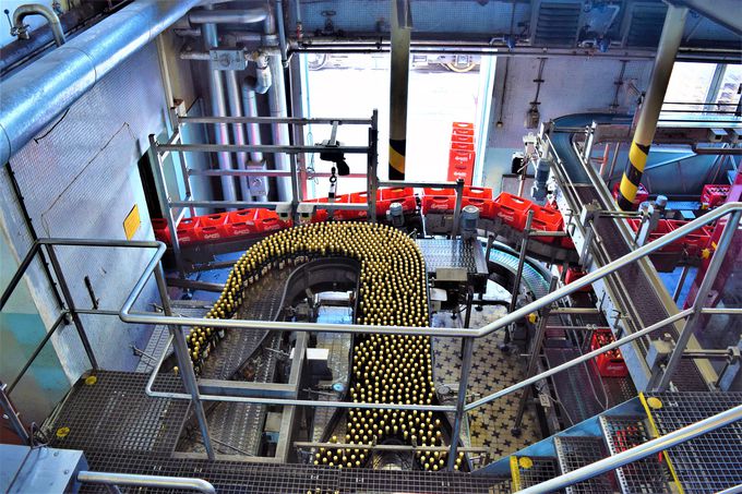 r[h̓RRIuuh@C[Euh@Hv