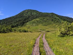 w}򑺂sIkōEPxƔgbLŐLTlC