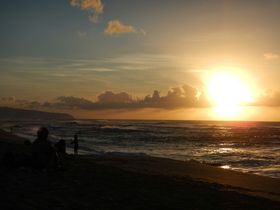 ���C�L�L�ȊO���y�������I�I�A�t�����R�ɐl�C�̃r�[�`����̋L���T���l�C��