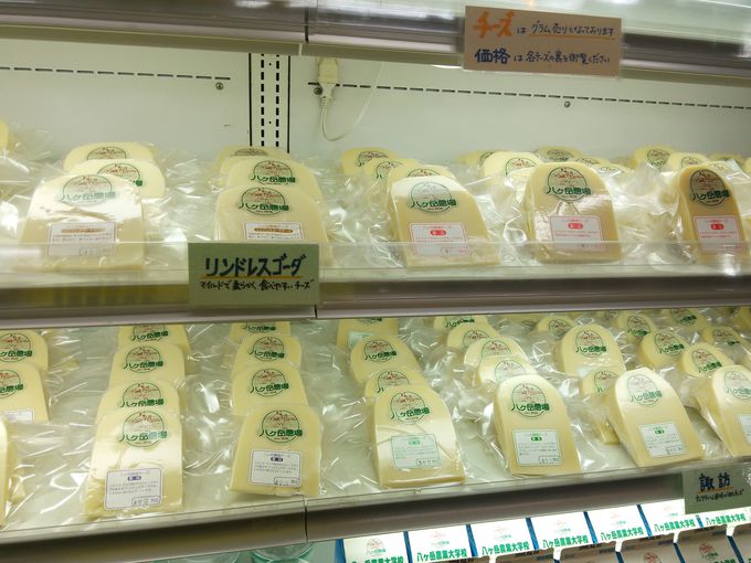 人気の乳製品・新鮮野菜「八ヶ岳農場直売所」