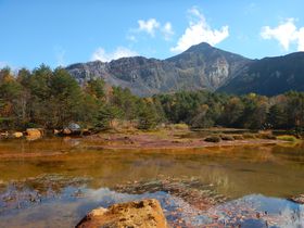 �u���^�����ɂ��o��I�����E�֒�R�o�R�́u�����v�ő啬�΍��Ղ������̋L���T���l�C��