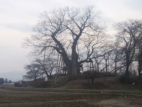 ɏI̐ՁA㐙̋u_wijՁvÎᏼs̋LTlC