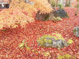 �����܂Ő^���Ԃɐ��܂�g���݂��̉i�ϓ��h���s�u�T�ю��v�̋L���T���l�C��