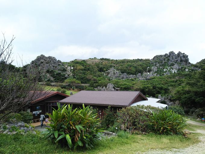 ２日目：沖縄本島最北端「辺戸岬」を目指しやんばるドライブ