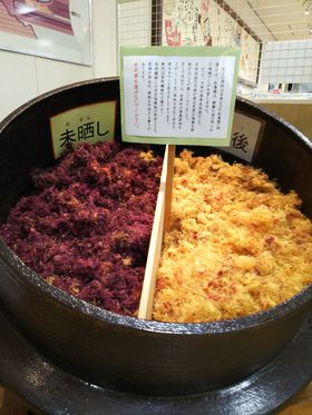 ����u����Ă�ςσK�[�f���v�͔����ȊO���y���߂�e�[�}�p�[�N�̋L���T���l�C��