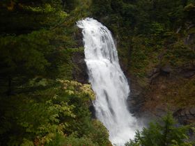 ѓ̎UI瑫΂ĖeuȎvւ̋LTlC