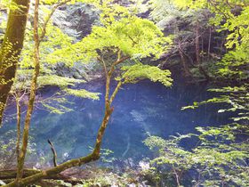 EY _Rn̏\΂ŐXуZs[yI̋LTlC