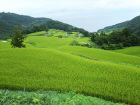 VEn܂邲ƖiInR猊̐iEIc܂ł̋LTlC