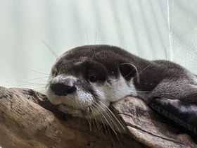 {u䂤݂̓mفvłɖ₳悤I̋LTlC