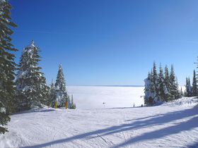 XL[[ȂANnJi_ EBX[ubRڎwI̋LTlC