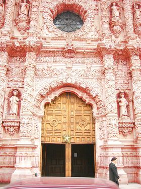 ����I�������̃s���N�E�V�e�B�`���L�V�R �T�J�e�J�X�̋L���T���l�C��