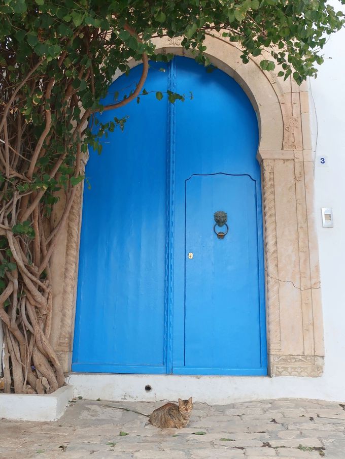 チュニジアンブルーが美しい街「シディ・ブ・サイド」  チュニジア 