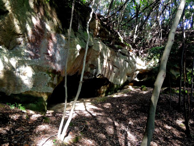 地元中学生のひらめきが導いた、泉福寺洞窟の歴史的発見