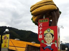 SNSeȂ鋐ŔIugʃoiiفEɗ\XvňQ̐HޒT悤̋LTlC
