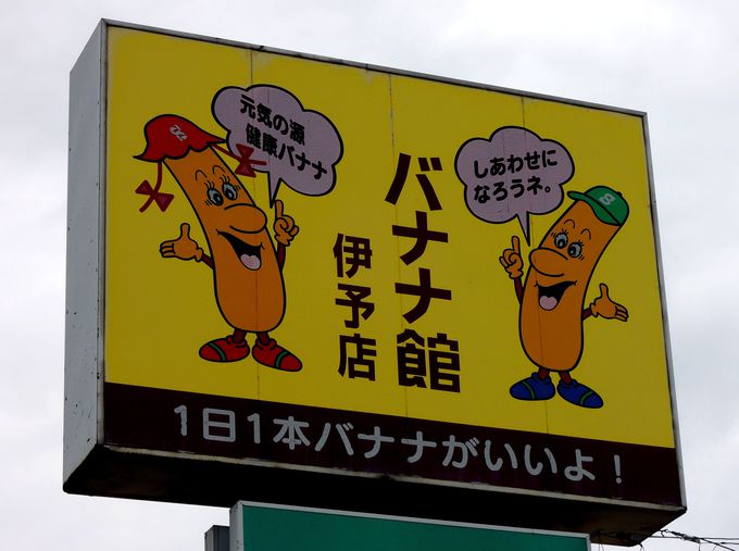 QȂ̂ɂȂoiiHoiiق̖O̗R͐В̏MɂI